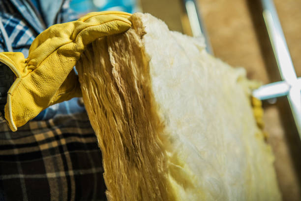 Best Cellulose Insulation  in Almedia, PA