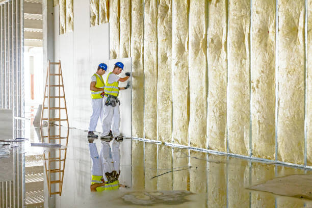 Best Insulation Replacement Services  in Almedia, PA